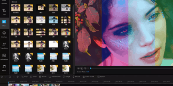 Come Rendere Salvabile Un Video Su Tiktok